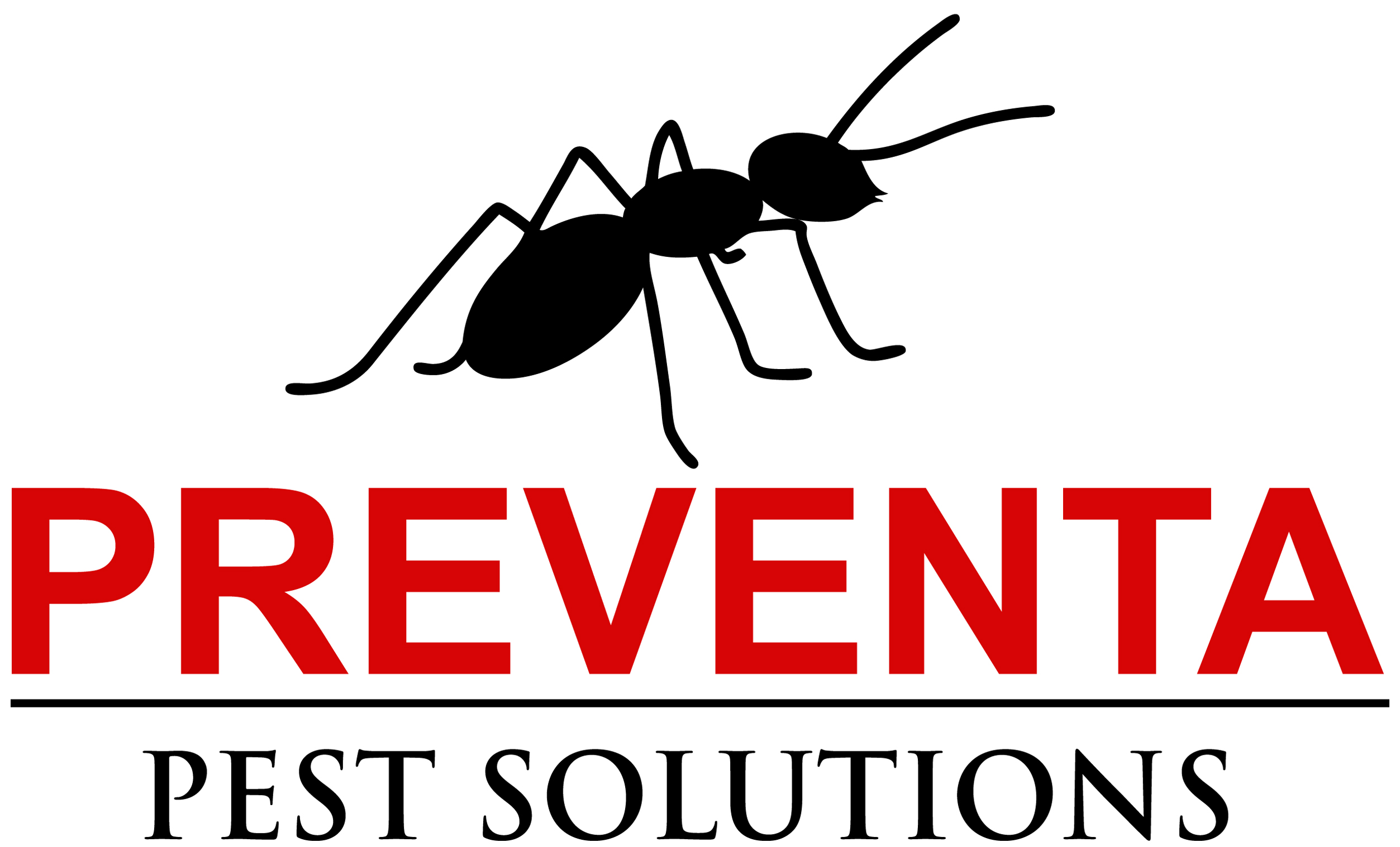 Flea Control Treatment Perth, Mites, Service Business Perth